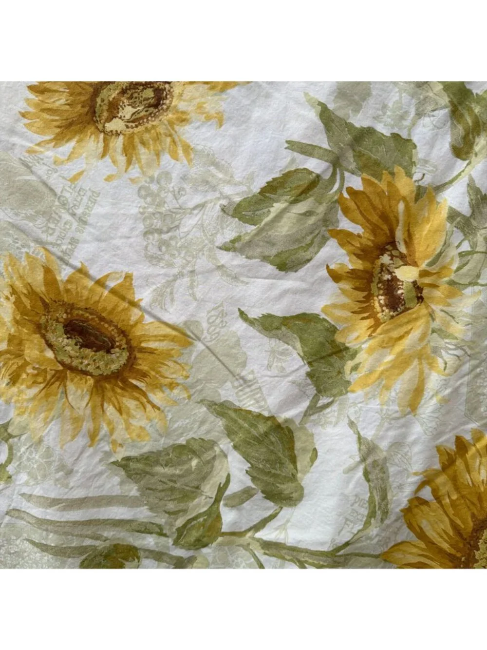 Pottery Barn Sunflower King Duvet Cover 2 Standard Pillowcases Floral Botanical